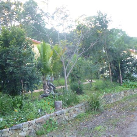 Vila Teretre Cabins Nimbin Exteriér fotografie