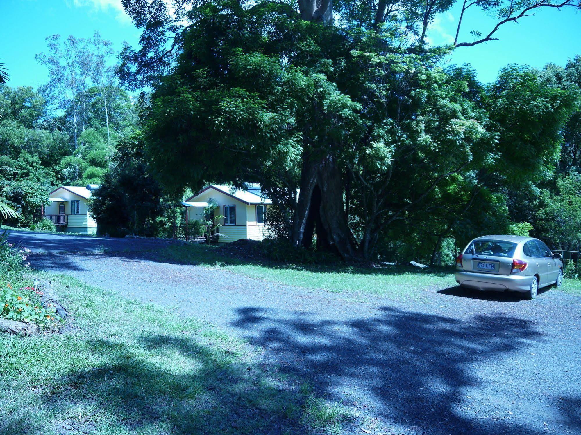 Vila Teretre Cabins Nimbin Exteriér fotografie