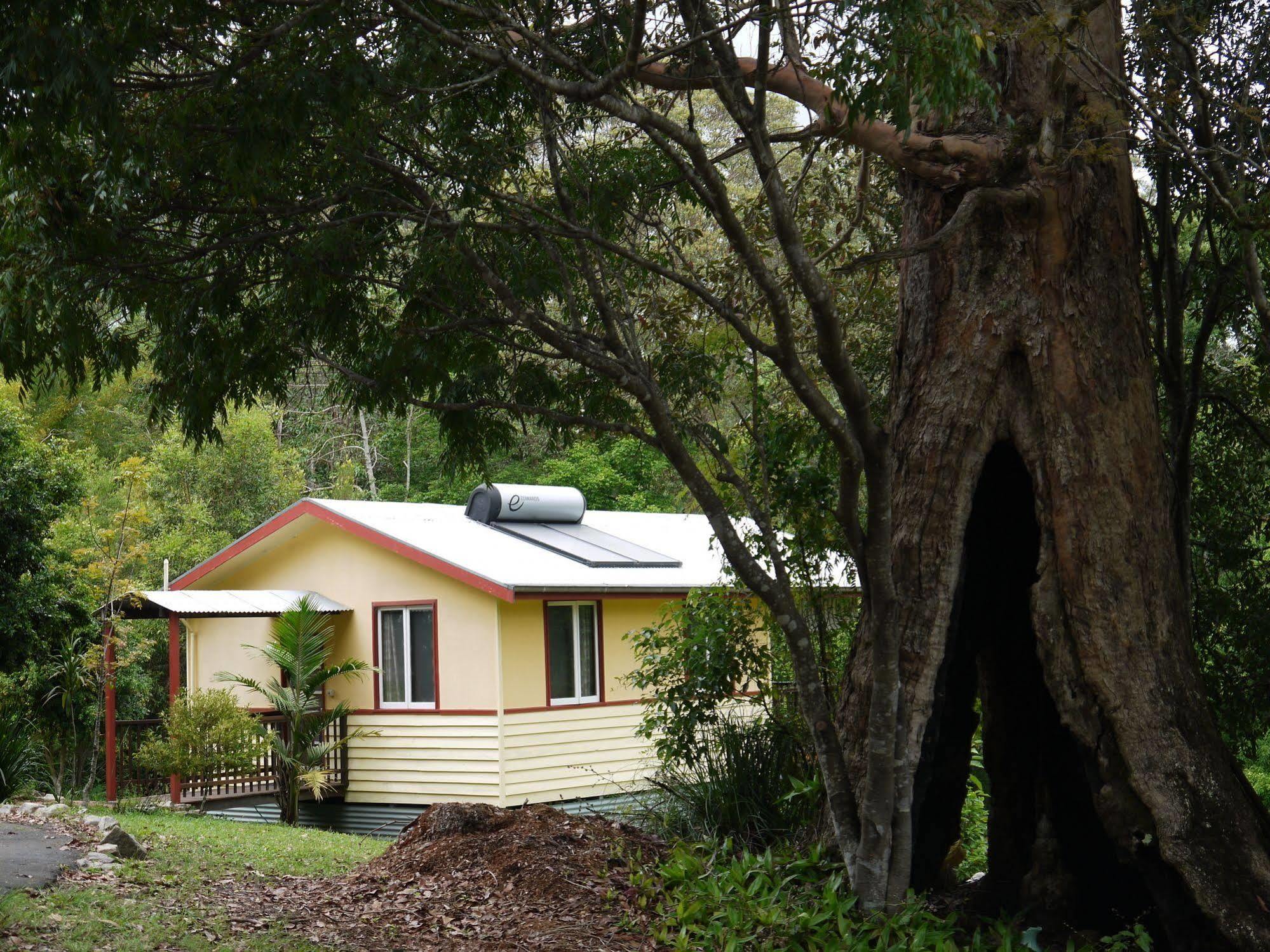 Vila Teretre Cabins Nimbin Exteriér fotografie